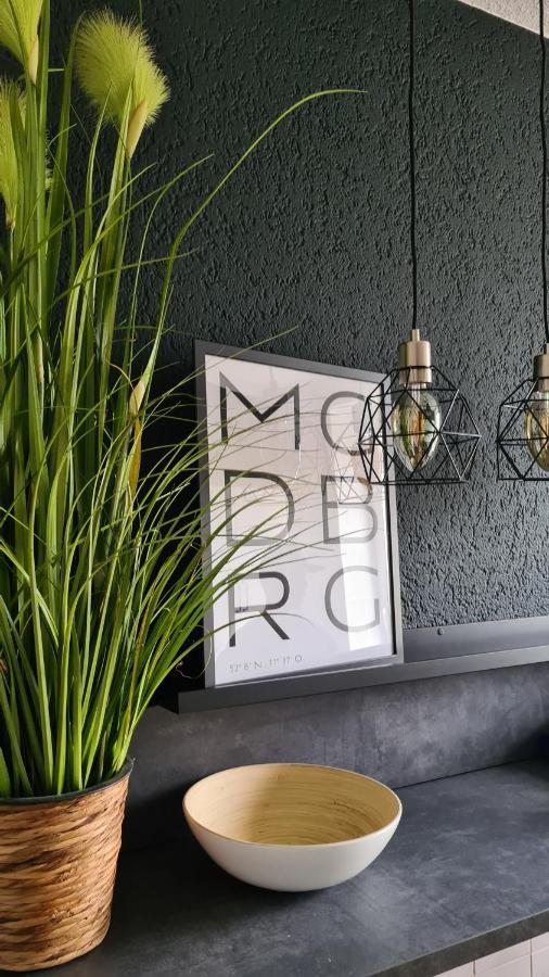 Ferienwohnung, Monteurwohnung, Unterkunft Elise Μαγδεβούργο Εξωτερικό φωτογραφία